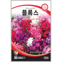 [우야플랜트샵] 플록스 300립 꽃잔디씨앗 야생화씨앗 꽃밭, 5개