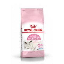 로얄캐닌 고양이 사료 2kg~10kg [H의커피 드립백 증정], 10kg, 마더앤베이비캣