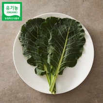 충북 청주 국내산 친환경 유기농 녹즙 케일 즙용 쌈용 1kg 2kg 3kg 주스용 쥬스용, 유기농 즙케일 2kg