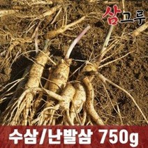 금산인삼 5 6년근 수삼 난발삼 원수삼 세척무료 750g, 무료세척, 난발 대 750g (6~8뿌리)
