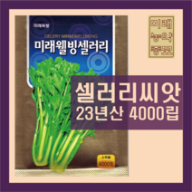 셀러리 씨앗 4000립 -23년생산, 1개