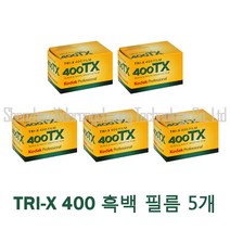 Kodak 코닥 TRI-X 400TX 프로페셔널 흑백 네거티브 필름 36컷 흑백필름, 5개