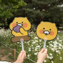 춘식이 PP부채, 얼굴