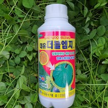 가뭄 습해 장마 토양불량에따른 잎황화현상 해결 엽록소 형성증진 광합성 증대 과실 당도 크기 증대 고농축 마그네슘 고토 비료 더블엠지500ml, 1개