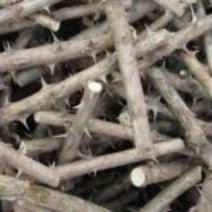 가시 엄나무건재 300g, 1개