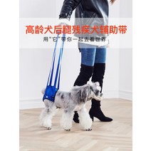 애완용품 슬개골탈구 장애견 다리밴드 휠체어 고령견년 노령개 뒷다리조력병 장애 마비된 강아지 보조대 척추후지, 02 울트라 블랙 블루, 02 S사이즈측정