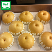 고당도 GAP 프리미엄 나주배 특품 선물세트, 1박스, 5kg (5-7과)