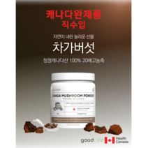 캐나다 항암치료 혈당낮추는 차가버섯 차 효능, 1병