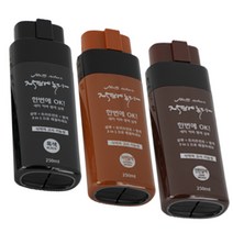 한방에 샴푸 염모제 새치 염색 샴푸 탈모케어 3in1 기능성샴푸 500ml 2개, 연한갈색 2통