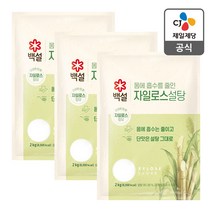 백설 하얀 자일로스설탕 2kg x 3개