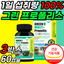 키즈 어린이 청소년 초등학생 브라질 산 그린 프로폴리스 종합 비타민 츄어블 알약 형 캡슐 면역 면역력 항산화 액상형 구취 제거 기관지 목 환절기 플로폴리스 추어블 눈 건강 캡술 정