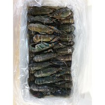 초특가 2팩*800g민물가재+2팩*200g마라 소스/마라룽샤 범죄도시 마라롱샤 만들기 세트, 21/25미 2팩+소스2팩