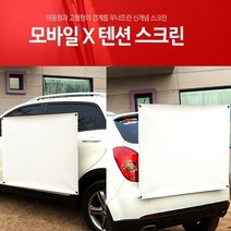 엑스젠 엑스텐션, 80인치