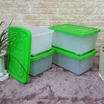 SC리빙클럽 대용량 리빙박스 수납정리함 45리터5개 색상선택, 그린
