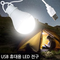 선진유통 휴대용 USB LED 전구, LED전구, 1개