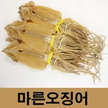 건어물광장 동해안 마른오징어, 마른오징어1.3kg