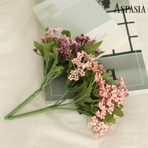 ASPASIA 브바르디아, 핑크, 1부쉬