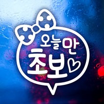 초보운전 안전운전 자동차스티커 반사 / 문구리본오늘만초보