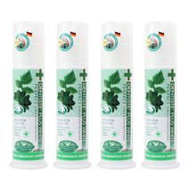 덴티스테 나이트 타임 치약, 1개입, 4개, 120g
