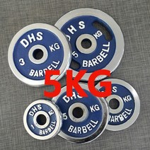 DHS 도금원판, 5kg, 1개