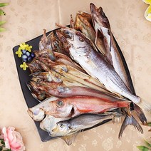 (할인중) [속초산지직송] 반건조생선 맛보기 실속 모듬세트 가자미 임연수 고등어 민어 볼락 부세 서대 열기 코다리 파란별건어물, 대, 1세트