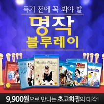레이디버그 Ladybug 2집 DVD 10종 세트, 10장