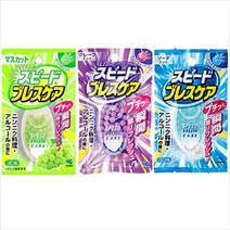 코바야시 스피드 브레스케어 30알 구취제거, 그레이프민트, 1개