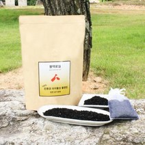 블랙로엘 천연100% 정품 야자활성탄 공기정화숯 활명탄 실내 탈취제, 활명탄 1kg, 1개입, 1000g