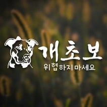디자인수 개초보 자동차스티커 초보운전스티커, 화이트, 1개