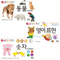 [은하수미디어]아기지능방플래시카드:동물＋숫자＋영어표현(전3권)