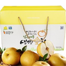 생명애찬 맑은배즙 전남 영암 나주 배즙 120ml 30봉 배즙/도라지즙, 3600ml, 2개