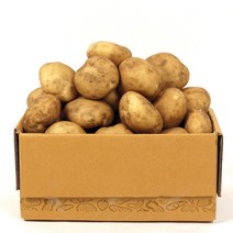 감자 수확중 수미햇감자 맛있는 감자 5kg 10kg, 【햇수미감자】10kg(중/통구이용 40~70g)
