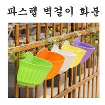 벽걸이화분 행잉 공중 걸이화분, 소형
