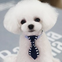 강아지 고양이 방울 보타이, 네이비(화이트)M, 1개