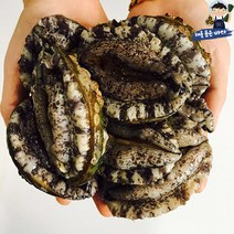 해를품은바다 완도 생일도 전복, 5번, 500g (9~10미)