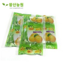 [왕산농원] 왕산 수세미 배즙 (직접재배) 건겅즙, 100ml, 100포, 100개