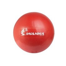 짐볼 미니 25cm, 아이워너 미니 짐볼 25cm