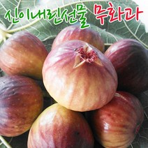 무화과 생과 해남 생 무화과 4~5팩 1.5kg~1.8kg (21~25과), 4팩, 500g