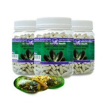 키위내추럴헬스 초록입홍합 500mg 500캡슐 3통 / Kiwi Natural Health Green Lipped Mussel, 3개