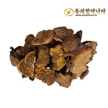 동의한약나라 명품 상황버섯, 1개, 500g
