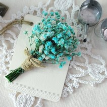 플라라 드라이플라워카드 엽서 액자 선물용 인테리어소품, A07 스카이블루 안개꽃 미니카드