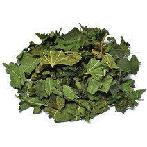 [장명식품] 국내산 뽕잎 상엽 뽕잎차, 600g, 1개