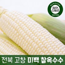 오복농산 껍질벗겨 진공포장한 미백 찰옥수수 흑찰옥수수, 1팩, 냉동 흑찰옥수수21개(17cm이상)