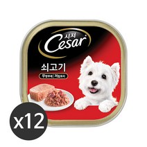 시저 강아지 캔, 소, 12개