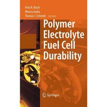 Polymer Electrolyte Fuel Cell Durability, Springer Verlag
