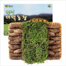 횡성더덕 선물세트(특3호) 2kg내외, 1개