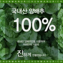에브리데이 양배추즙 100포, 80ml