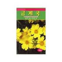 금계국씨앗 500립