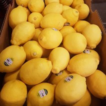 미국산 정품 팬시레몬 140과, 1박스, 17kg (140개내외)