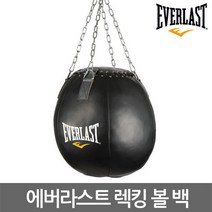 에버라스트 렉킹 볼 백 샌드백 훅 어퍼컷 바디